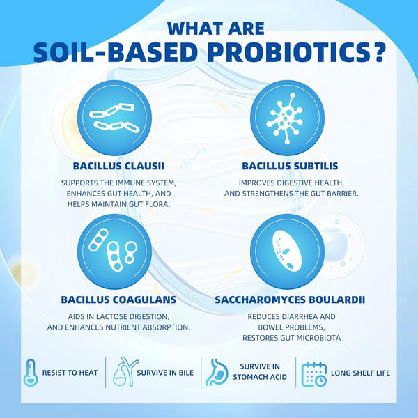 SBO Probiotics for Women & Men Digestive Health, Containing Spore-based Probiotics, Lactobacillus Probiotics, & Prebiotic Fiber for Immune Support