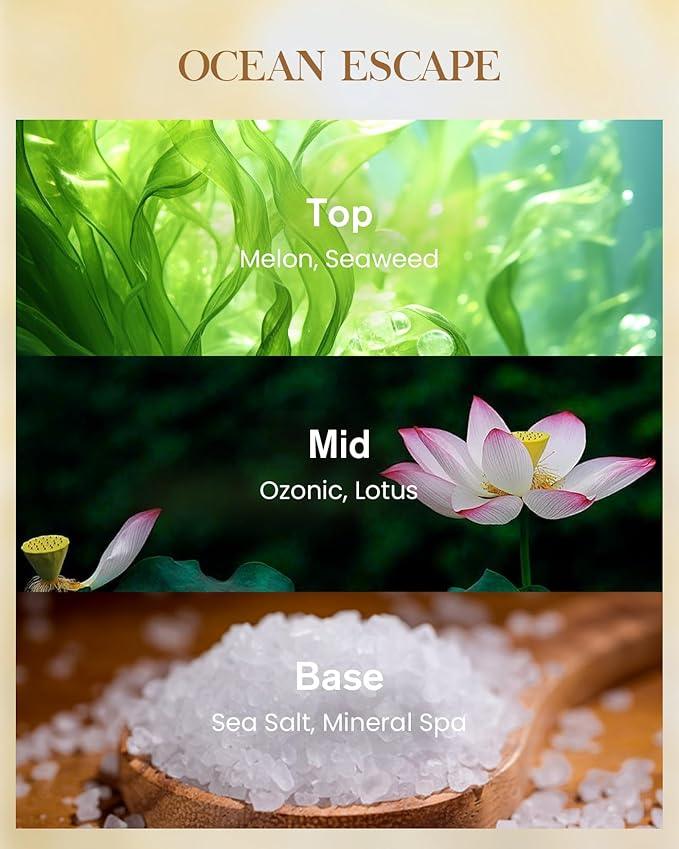 M&SENSE Ocean Escape Scented Natural Soy Wax Candle, 14.1oz 60 Hours Long Lasting Slow Burning Candles for Home Decor, Aromatherapy Candle for Stress Relief