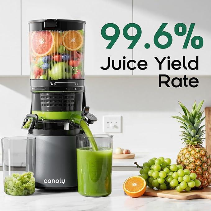 Canoly C16 Cold Press Juicer, 6