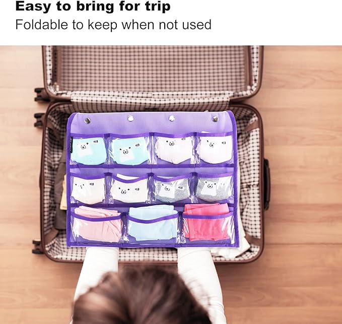 Dual Sided Hanging Organizer for Jewelry Makeup Storage Closet Organizers for Bows Socks Underwear with 42 Clear Pockets (PURPLE)