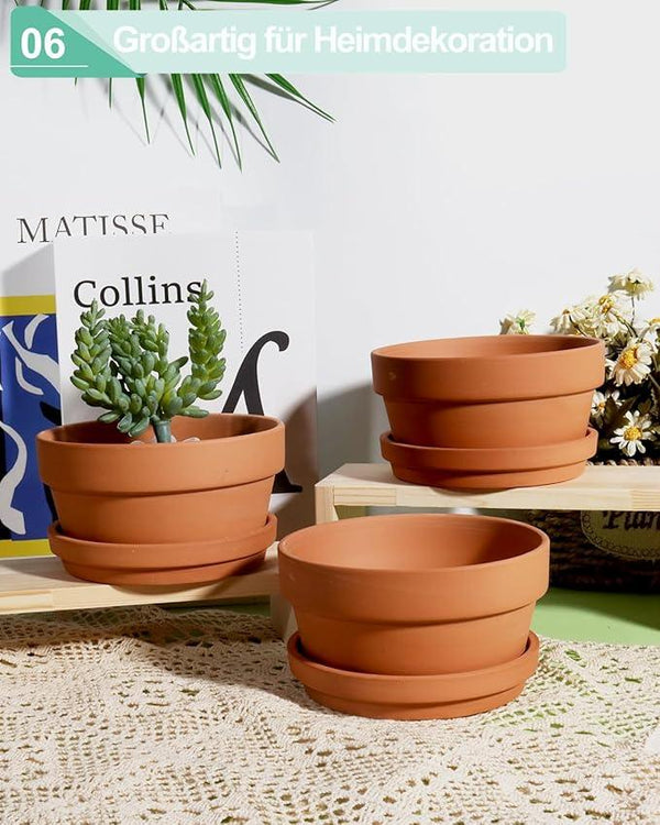 vensovo 5.7 Inch Terracotta Shallow Succulent Pot - 6 Pack Terra Cotta Clay Pots with Saucer, Cacuts Terra-Cotta Indoor and Outdoor Planters with Drainage Hole