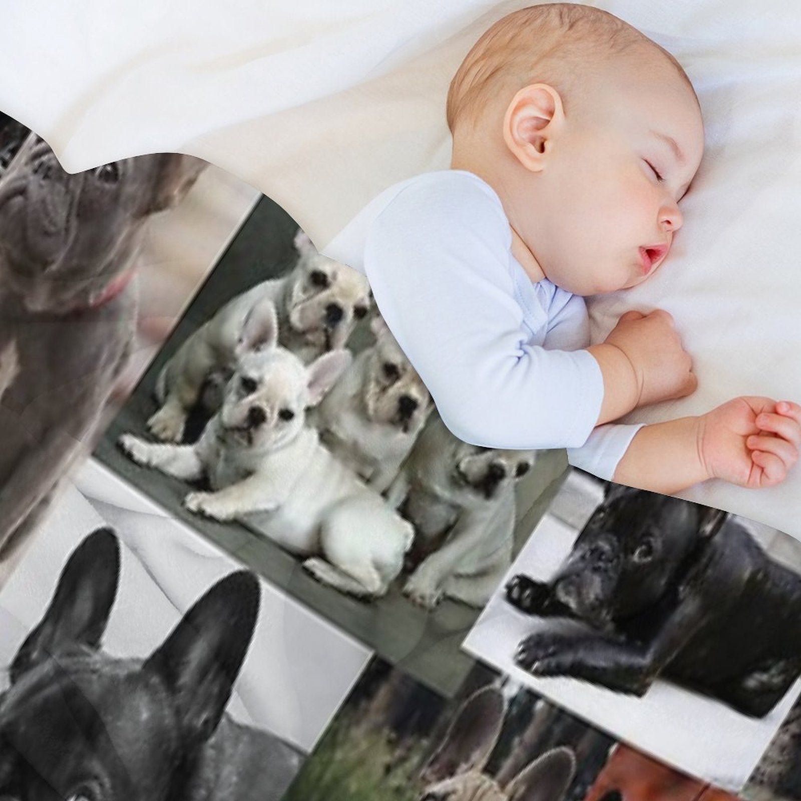 French Bulldog Dog Breed Collage Anti-pilling Throw Blanket