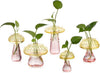 Glasseam Mushroom Plant Propagation Stations: Colored Glass Terrarium Jar Set of 5 Cute Planters for Indoor Plants Mini Propagate Station Unique Christmas Birthday Gifts for Women Home Office Decor