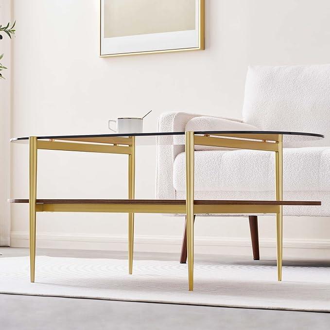 Oval Glass Coffee Table, Mid-Century Modern Design, L41 x W21 x H17 inch, for Living Room, 2-Tier Structure, Amber Glass Top and Walnut Finish Wood Shelf, Conical Legs with Gold Finish Frame