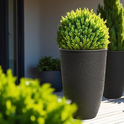 WORTH Garden 2-Pack 21