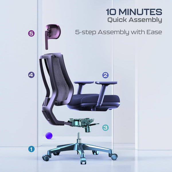 OdinLake L2 (Ergo PRO 633) | Ergonomic Office Chair(Built-in Footrest)