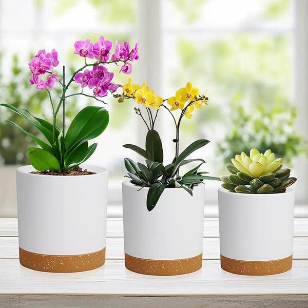 3 Pack 6/5/4 inch Cylindrical Flower Pots, Modern Small Round Plastic Plant Pots with Drainage Holes & Saucers, Clean and Refined Planter Pots for Outdoor, Indoor & Office Decor (White Brown)