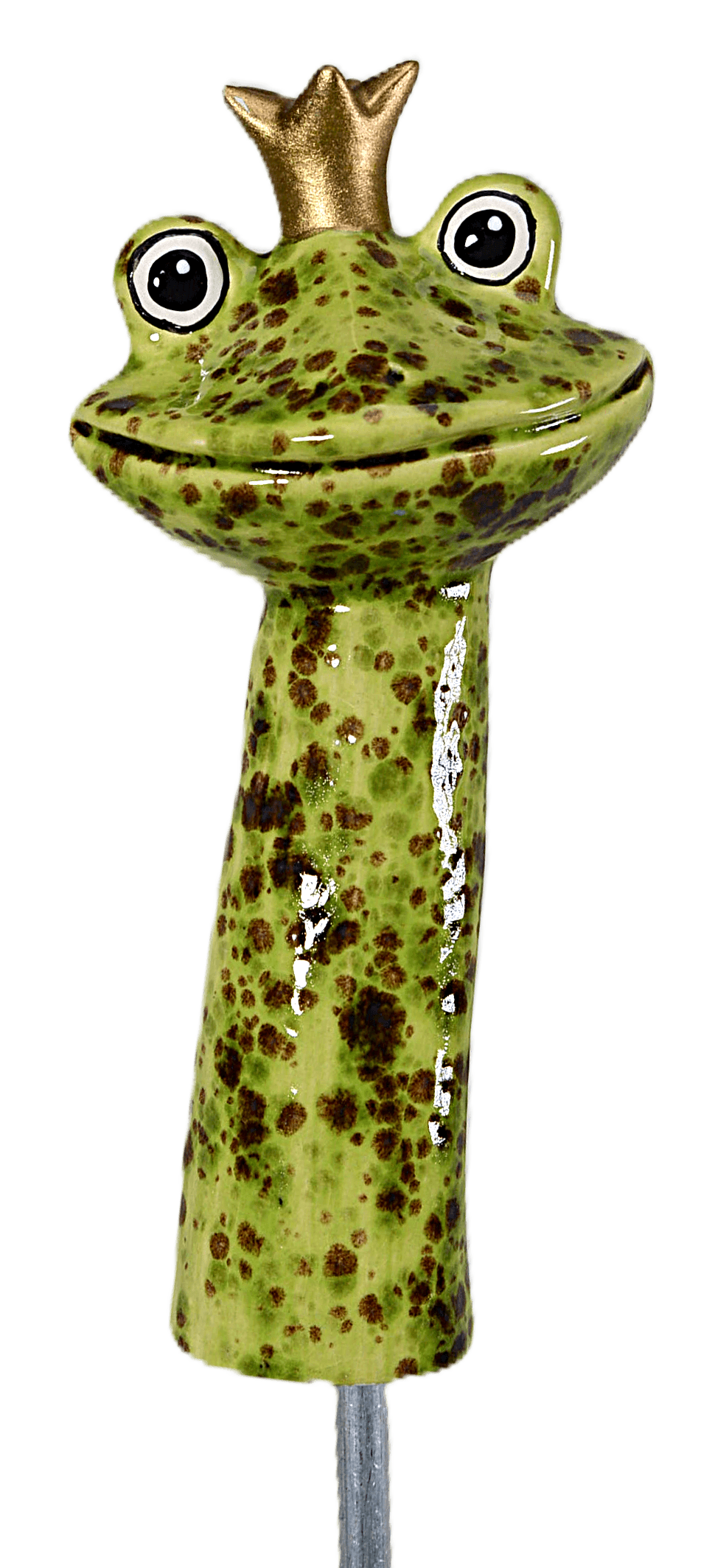 Frog Prince