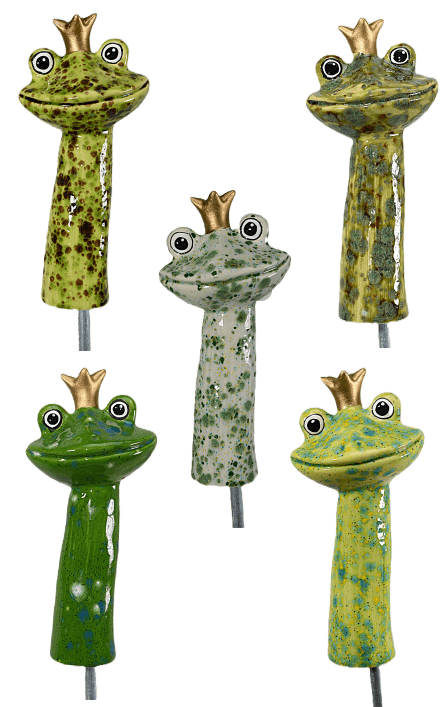 Frog Prince