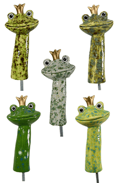 Frog Prince