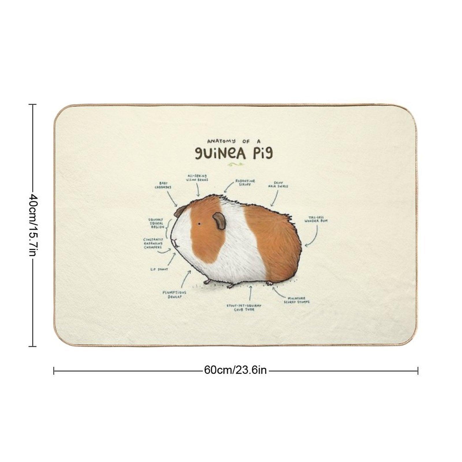 Anatomy of A Guinea Pig  High-Traffic Bath Mat