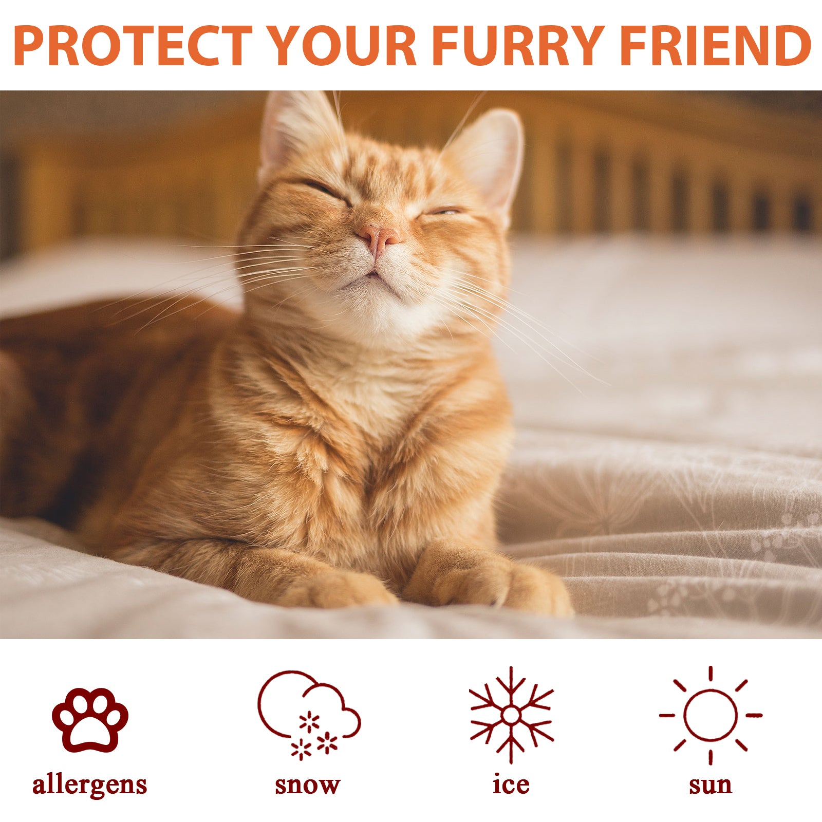 Pet Paw Care Cream, Moisturizing And Anti-Dry Crack Cat And Dog Foot Care Pad Paw Care Cream