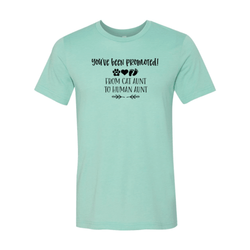 You've Been Promoted from Cat Aunt to Human Aunt T-Shirt