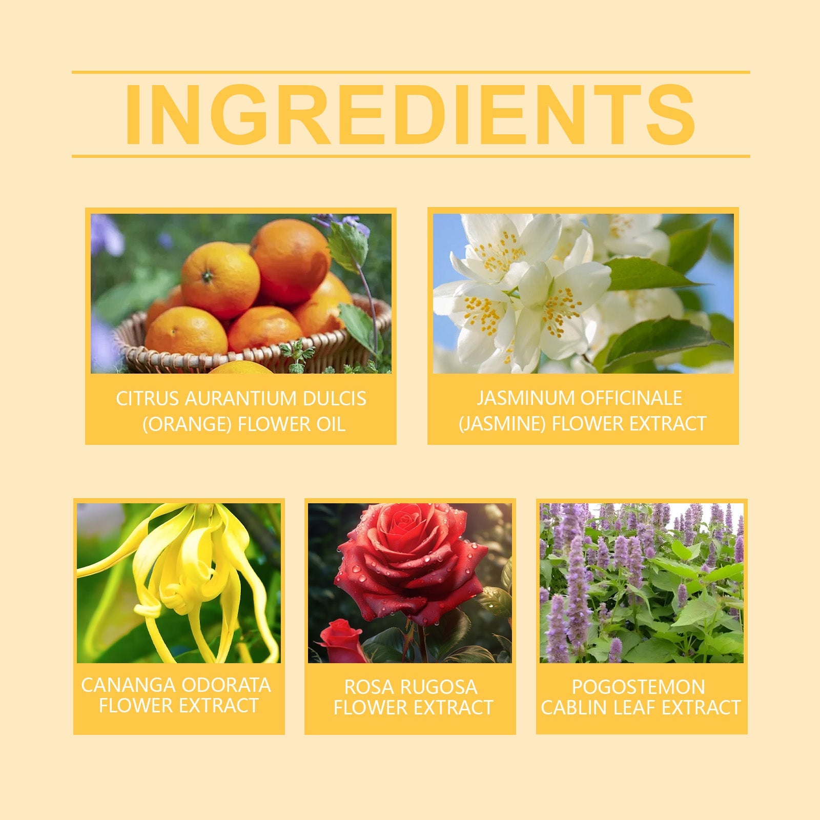 Femmebot Pherowomen Perfume, Light Elegant Exudes Fresh Niche Lovers Dating Portable Charm Perfume