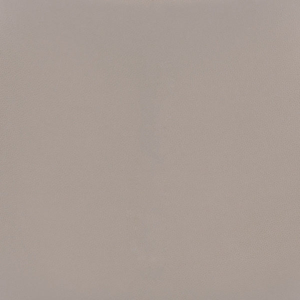 Magnus Dining Chair (Set of 2) Brown & Silver