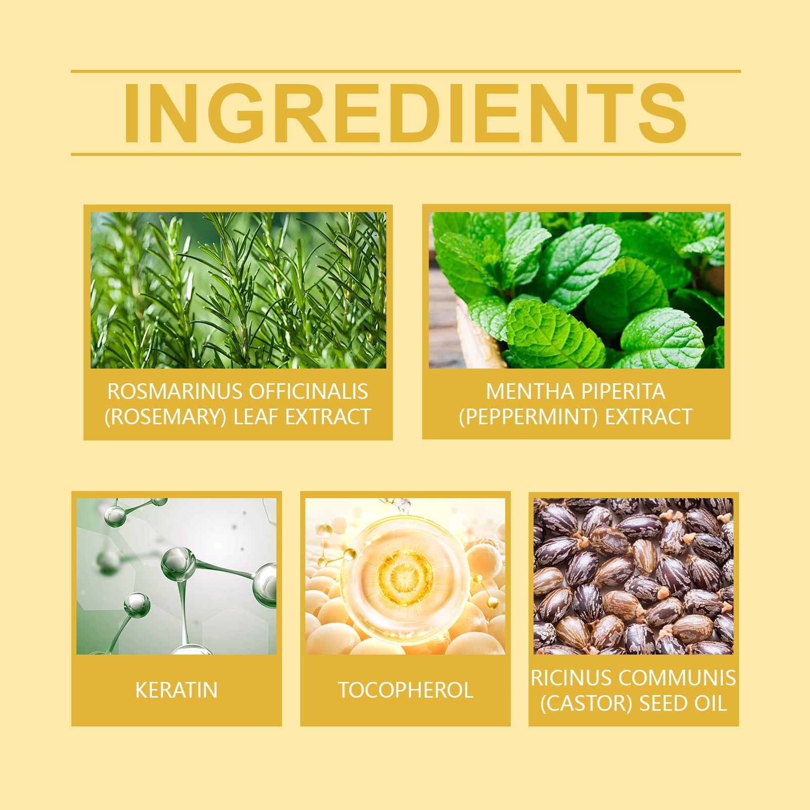 Rosemary Mint Hair Care Oil Hydrating Hair Care Soft Nourishing Hydrating Daily Massage Hair Care Oil