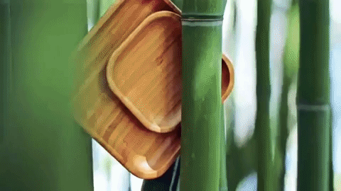Bamboo Square Platter 13