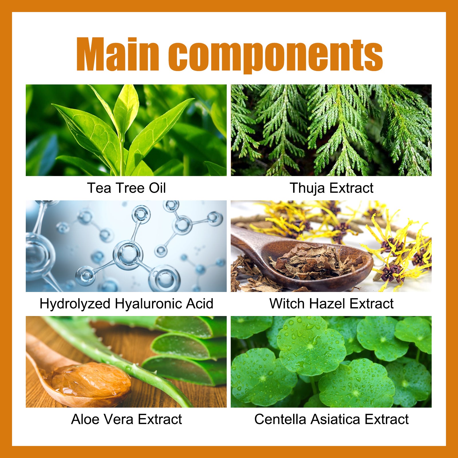 Mole Label Repair Patch, Repair Neck Flesh Grain Filamentary Wart Corns Skin Cleaning Gram Wart Patch