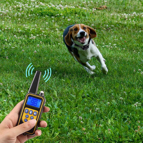 Dog training supplies - bark control device. The collar features electric shock and vibration for training.