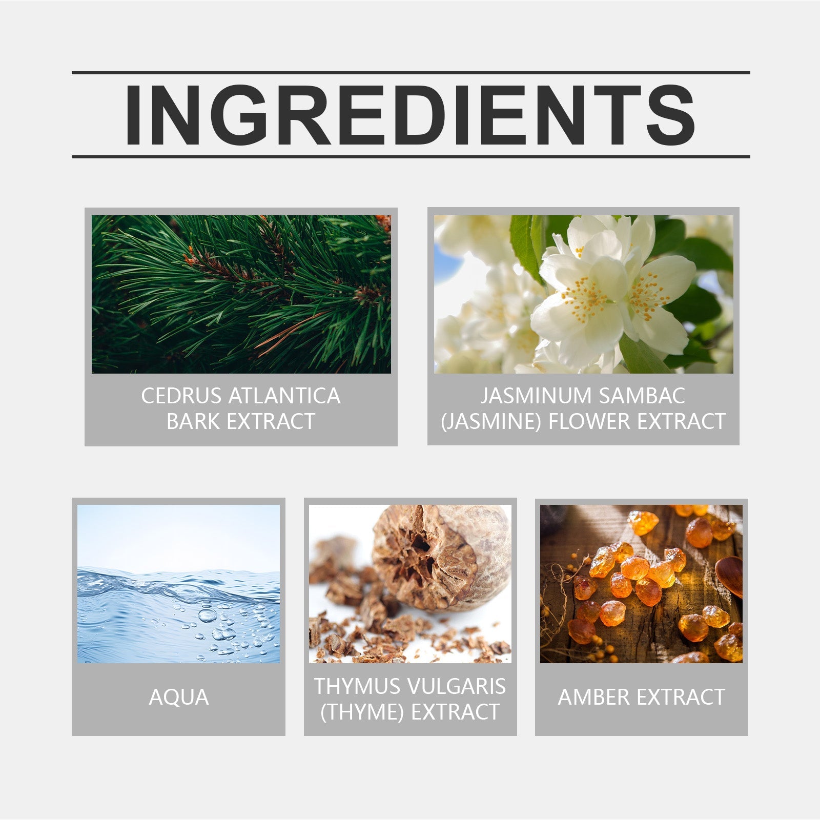 Eau De Toilette, Warm Wood Scent Charming Floral Fragrance Fresh Natural Fragrance Fragrance Lasting Fragrance