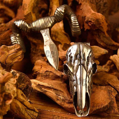 TOPACC Argali Skull