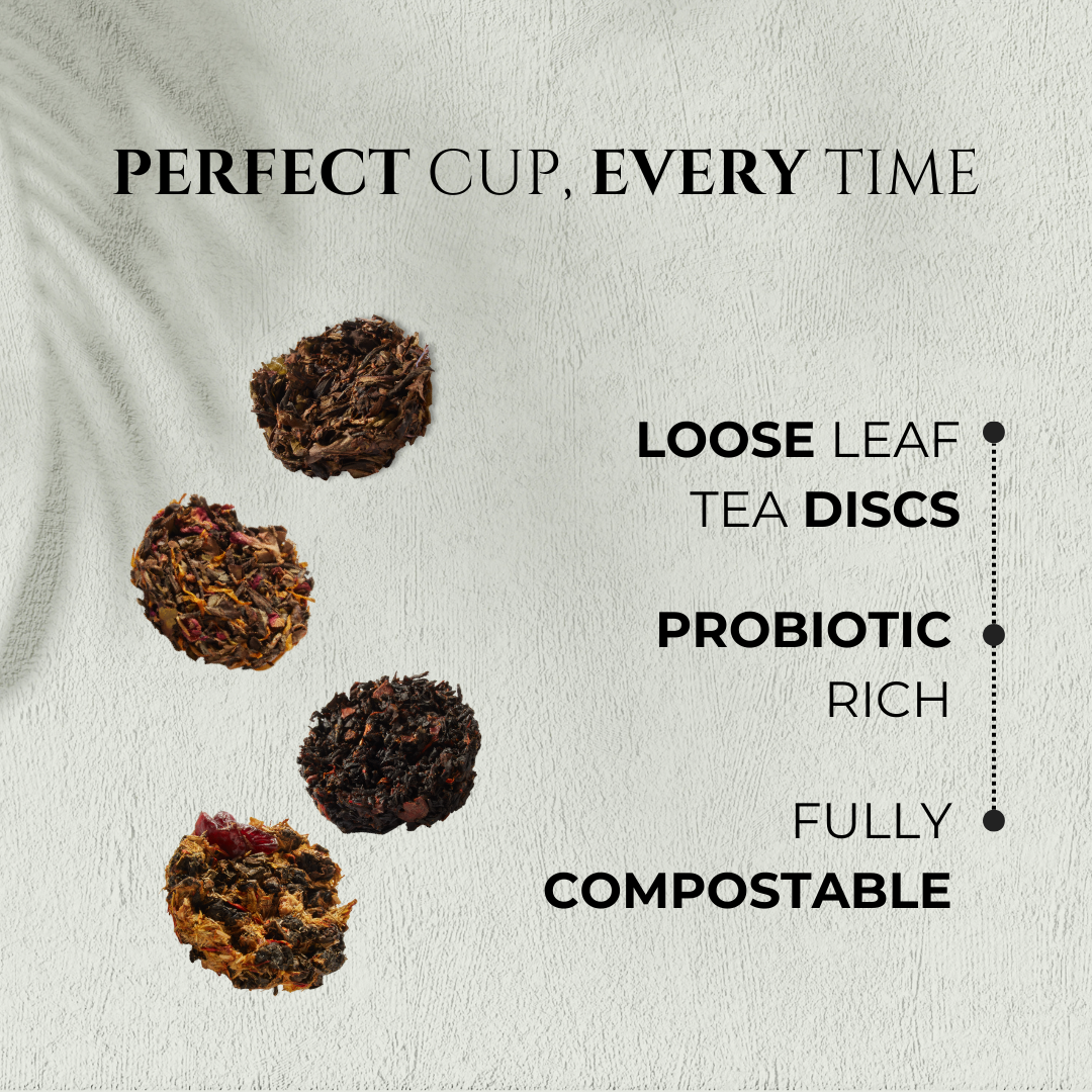 iLOLA Humidor Starter Set – Tea Aging + Storage System