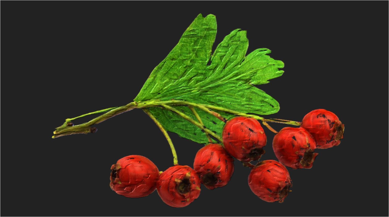 Certified Organic Rejuvenating Night cream calendula Hydrate Anti-aging Repair |Calendula flower