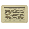 Dinosaurs of Crystal Palace Bath Mat