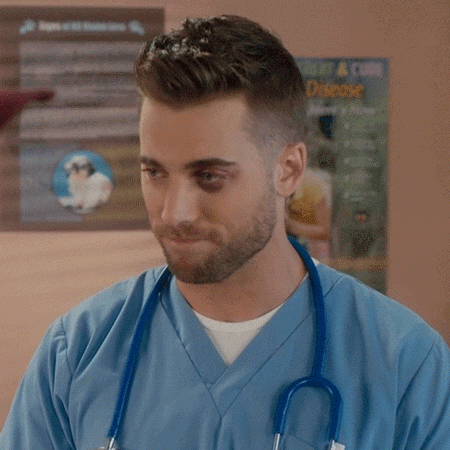 The Animal Doctor