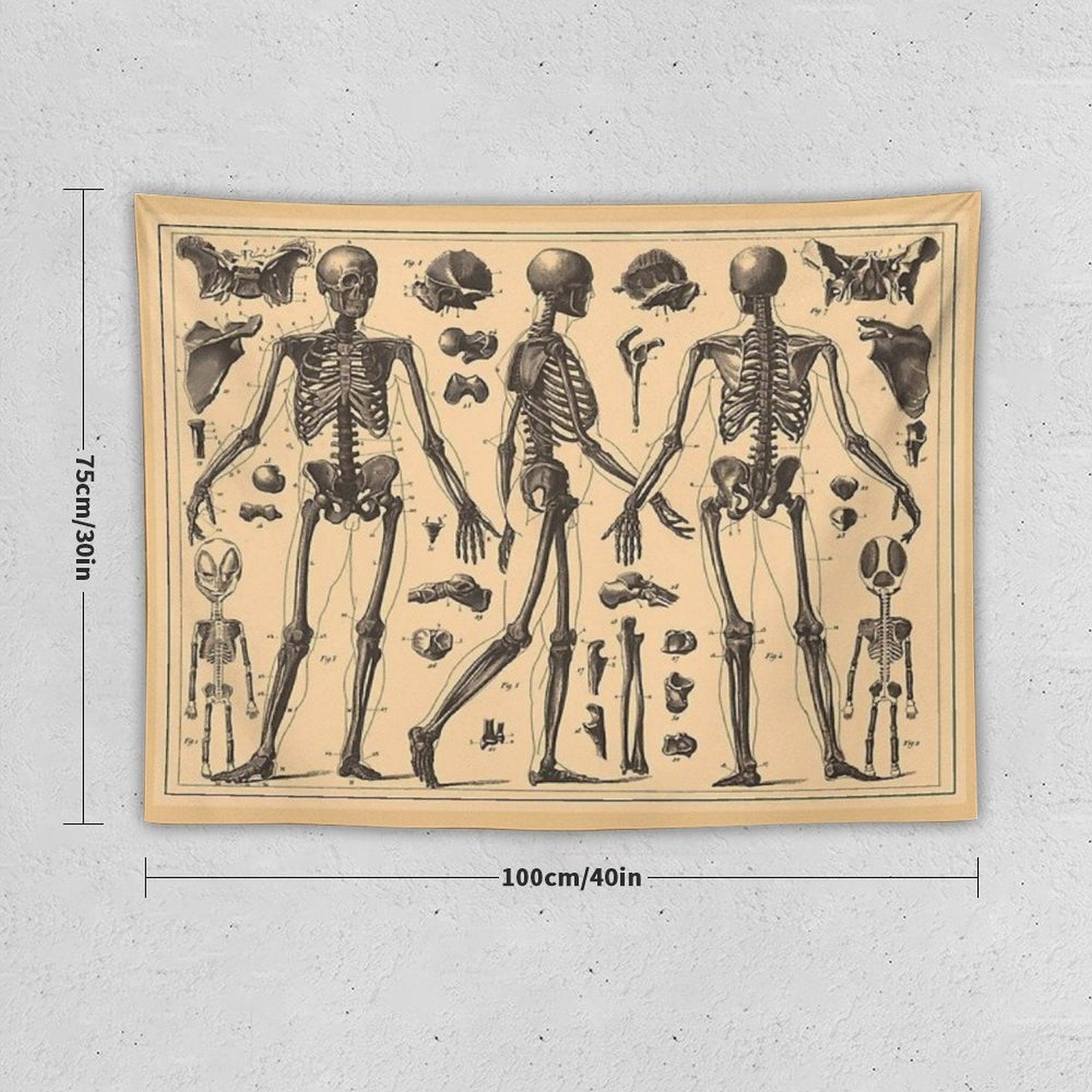 Vintage Human Skeleton Anatomy Diagram Tapestry