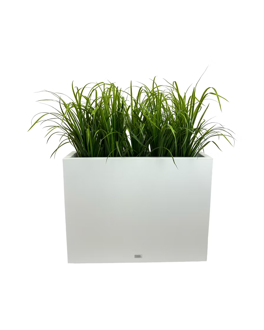 Grass Planter Plantita & Co. Bloom Bar & Studio