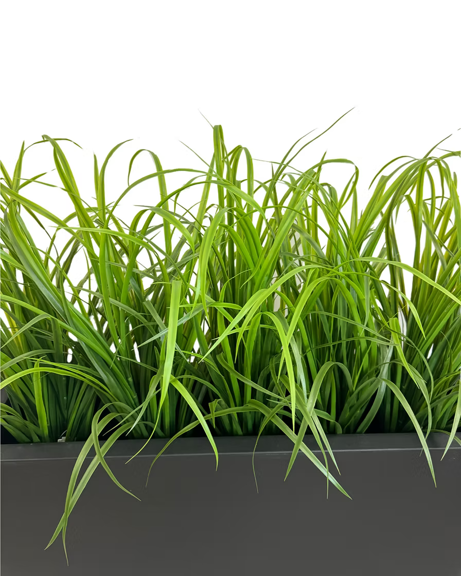 Grass Planter Plantita & Co. Bloom Bar & Studio