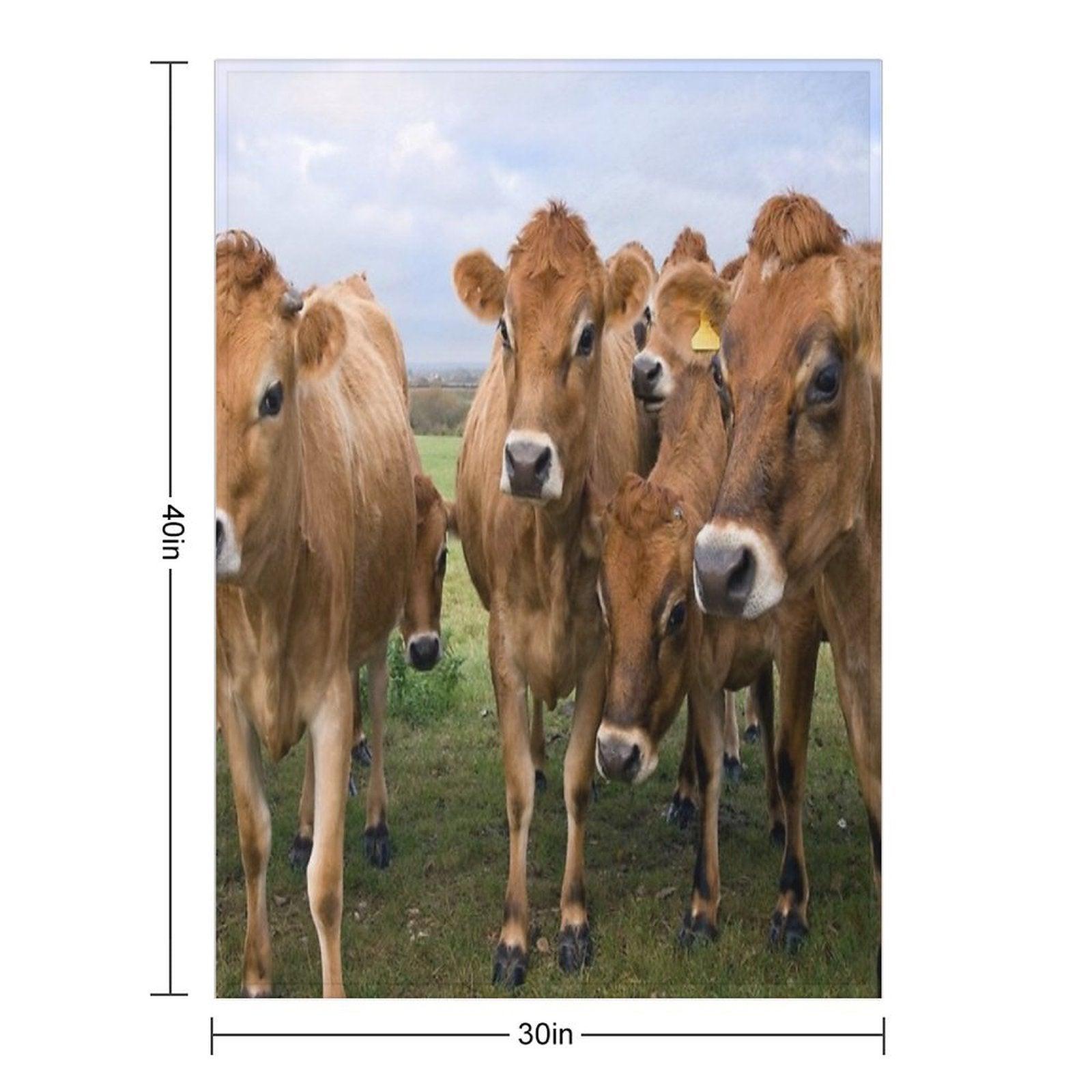 Curious Jersey Cows Throw Blanket