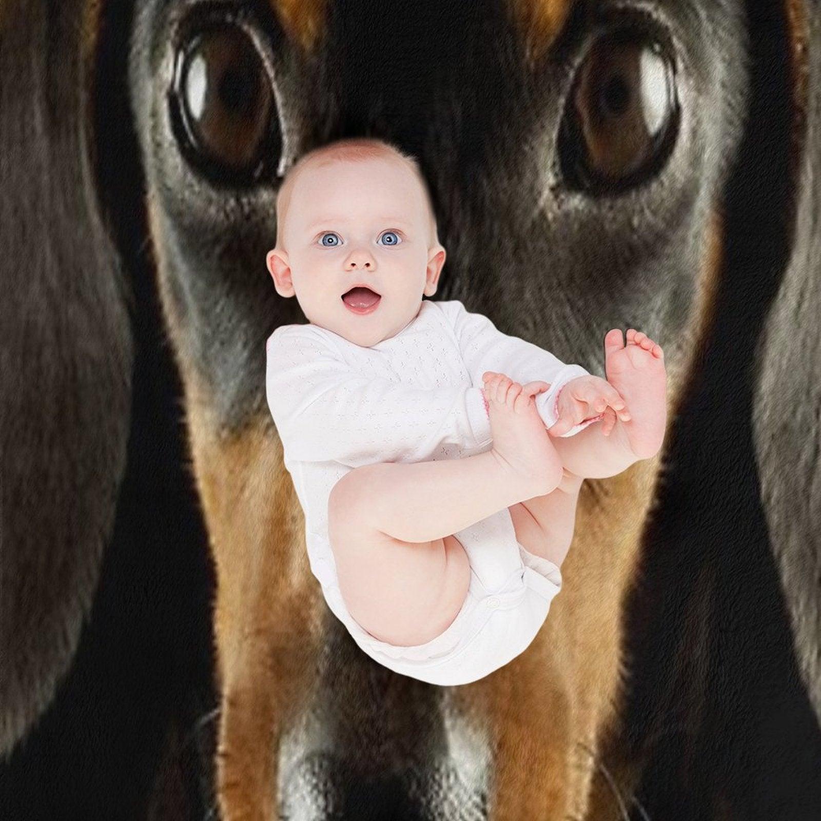 Dachshund Dog Photo Portrait Throw Blanket