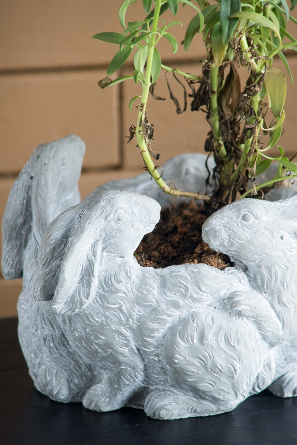 10x8x6.5' 5 Bunny Cement Planter
