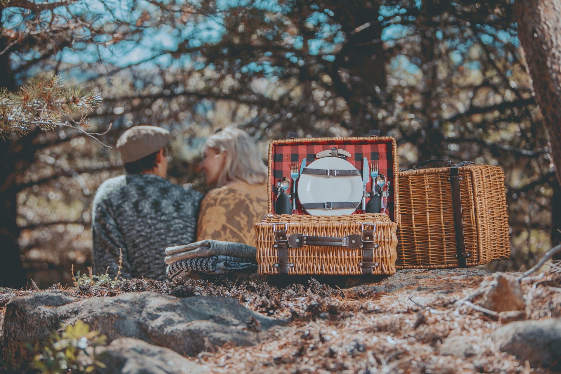 Champion Picnic Basket for 2 Picnic Time Family of Brands