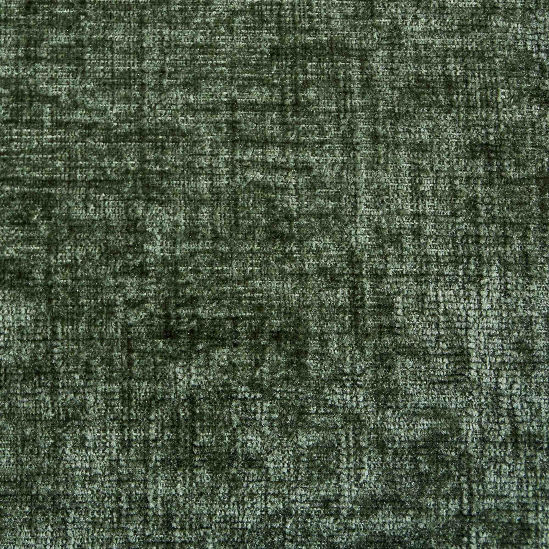 Chenille Dining Chairs Modern Style with Curved Gold-Plated Legs & Rivet Trim