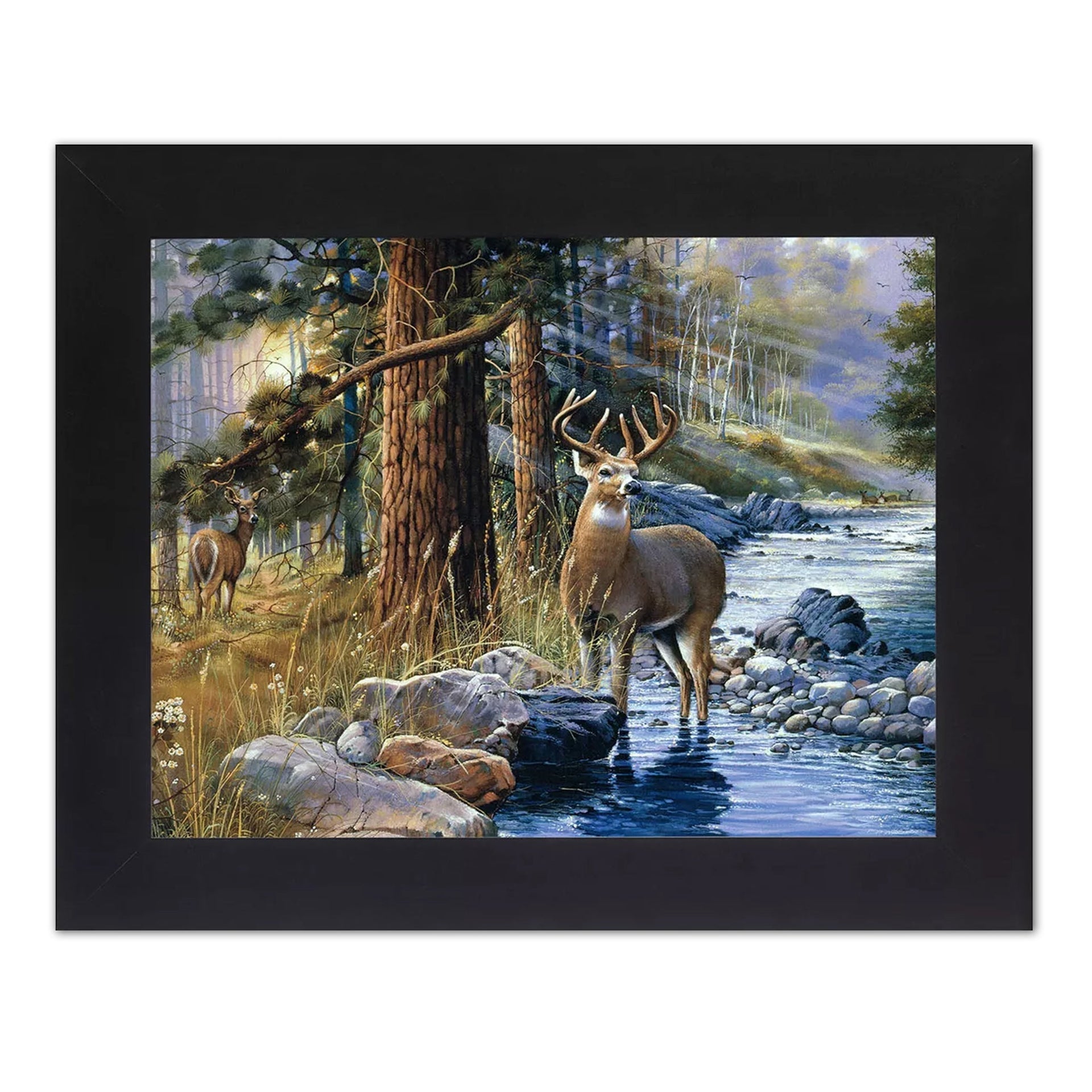 Buck Deer Wall Art - Framed Antler Rack Print with Doe Standing in Water, Black Wood Frame