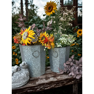 Beveled Zinc Planters With Handles