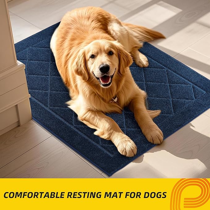 JSEI Dirt Trapper Door Mat 24