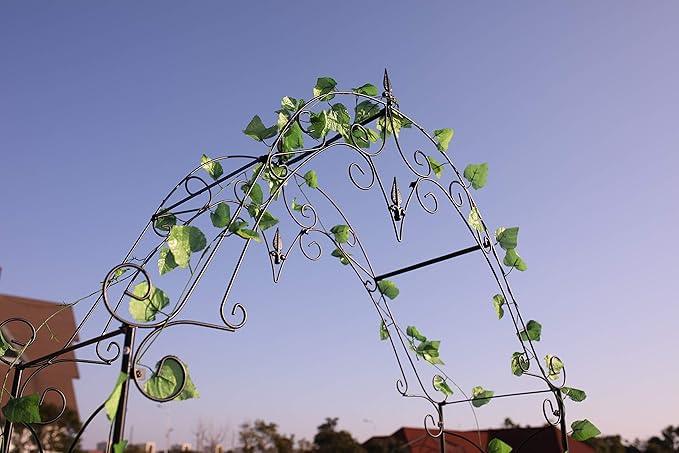 Steel Garden Arch, 8'1