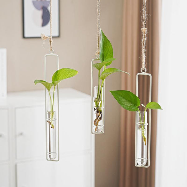 Scandinavian-Style Glass Hydroponic Vase for Living Room with Creative Hanging Door Decor and Wall Ivy Plant Water Cultivation Transparent Pot