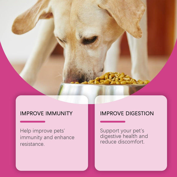 Dog Probiotic Tablets To Improve Intestinal Health, Balance Digestion And Absorption Of Pet Nutritional Supplements