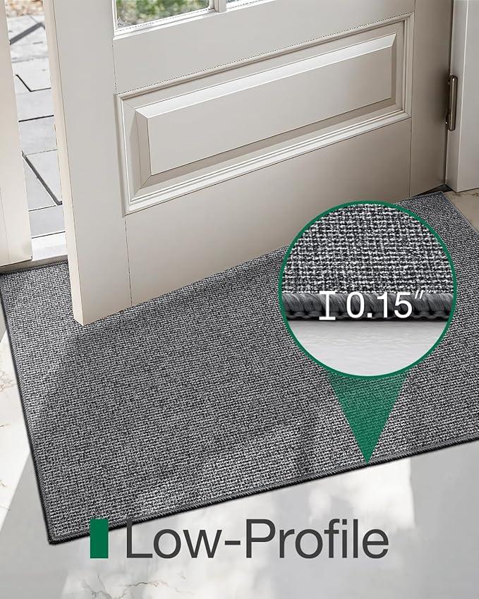 LUMI Indoor Door Mat 24