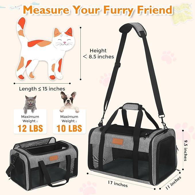 PETUX TSA Approved Pet Carrier in Cabin, 17