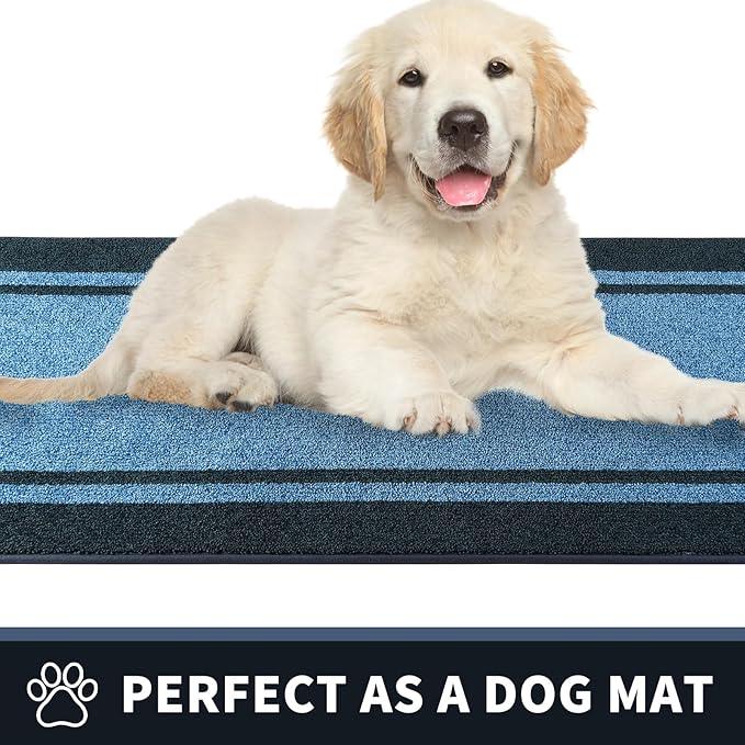 PURRUGS Dirt Trapping Door Mat 24