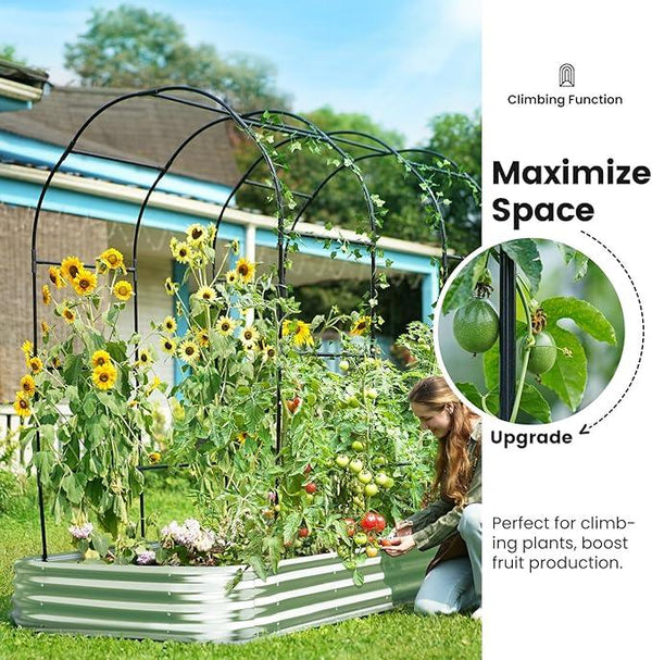 KING BIRD Raised Garden Bed with Arched Trellis Galvanized Planter Garden Box Outdoor for Gardening, Climbing Vegetables, Flowers 7.87x3.94x0.98 Ft, Silver