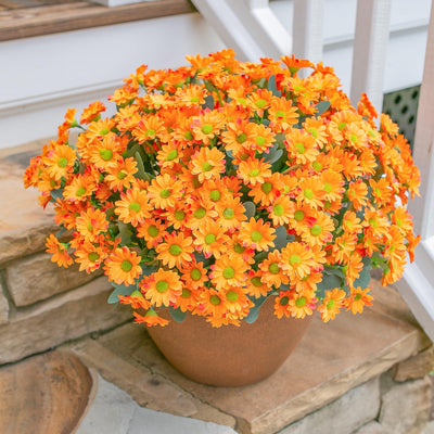 INSPRING Daisy Artificial Outdoor Silk Flowers 6 Bundles Orange UV Resistant