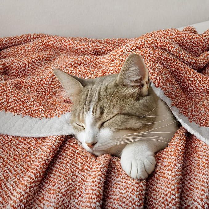 MIULEE Fall Burnt Orange Super Soft Throw Blanket for Couch, Cozy Fluffy Warm Throws Knit Blankets for Sofa, Bed, Chair, Living Room, Camping, Picnic, 50 x 60 inch