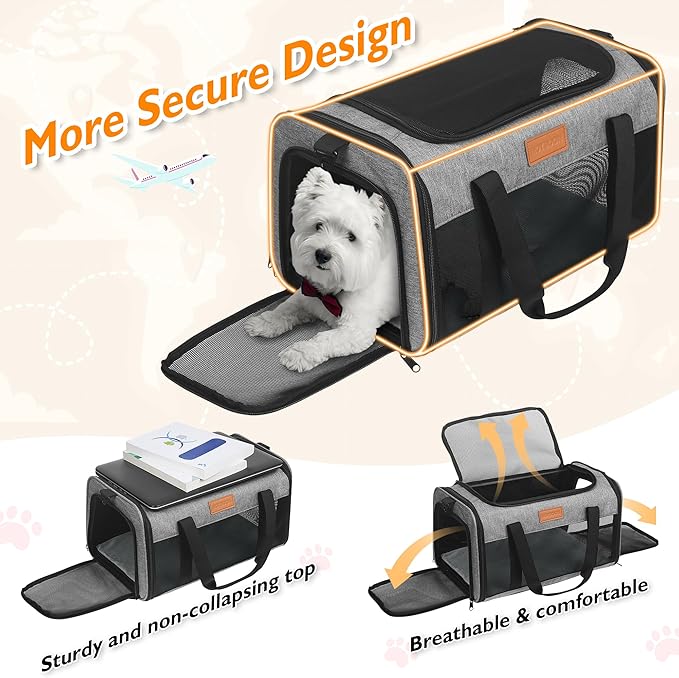 PETUX TSA Approved Pet Carrier in Cabin, 17